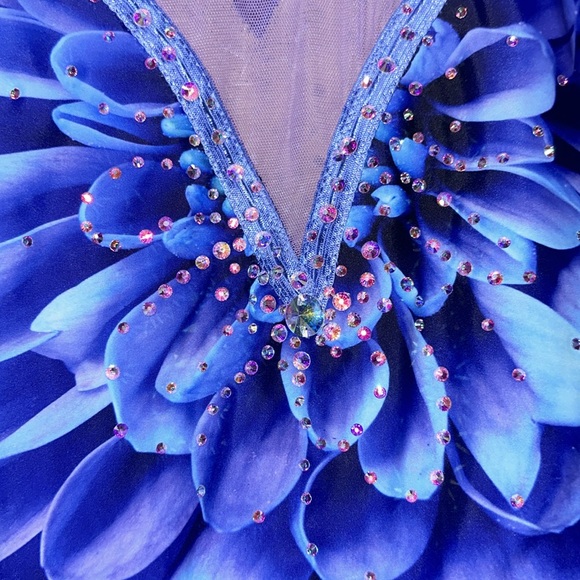 New ElitExpression Flora Royal Beaded Figure Skating Dress - Size 10/12 - Picture 5 of 8